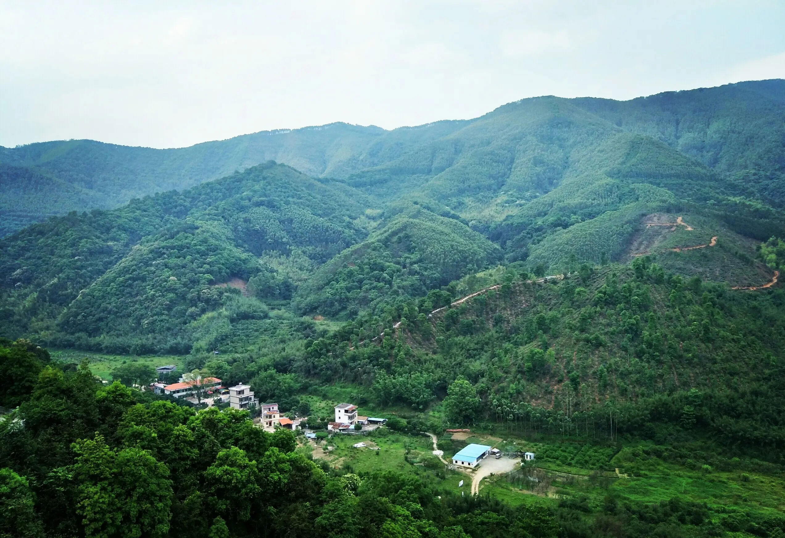 广东象头山；で诙次综合科学考察事情启动